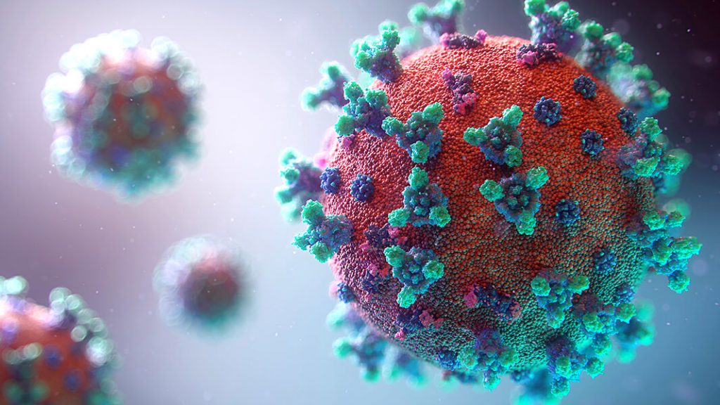 What Caused The Corona Virus Pandemic